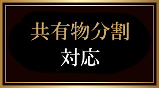 共有物分割対応
