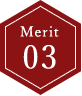 Merit 03